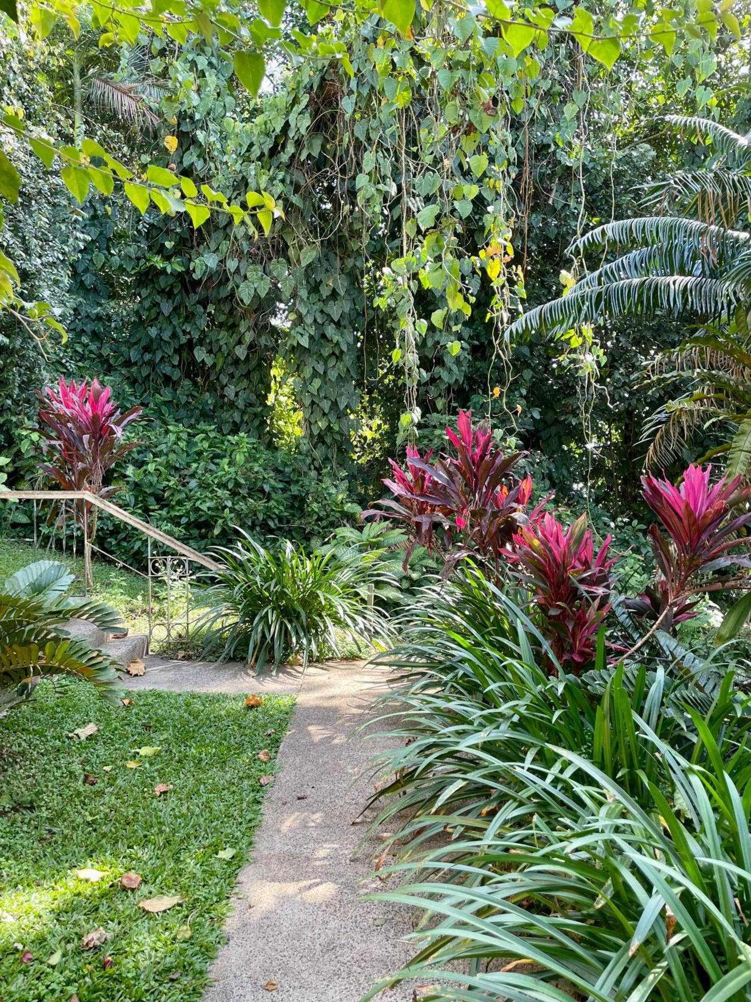 Babinda Quarters Hotel Екстериор снимка
