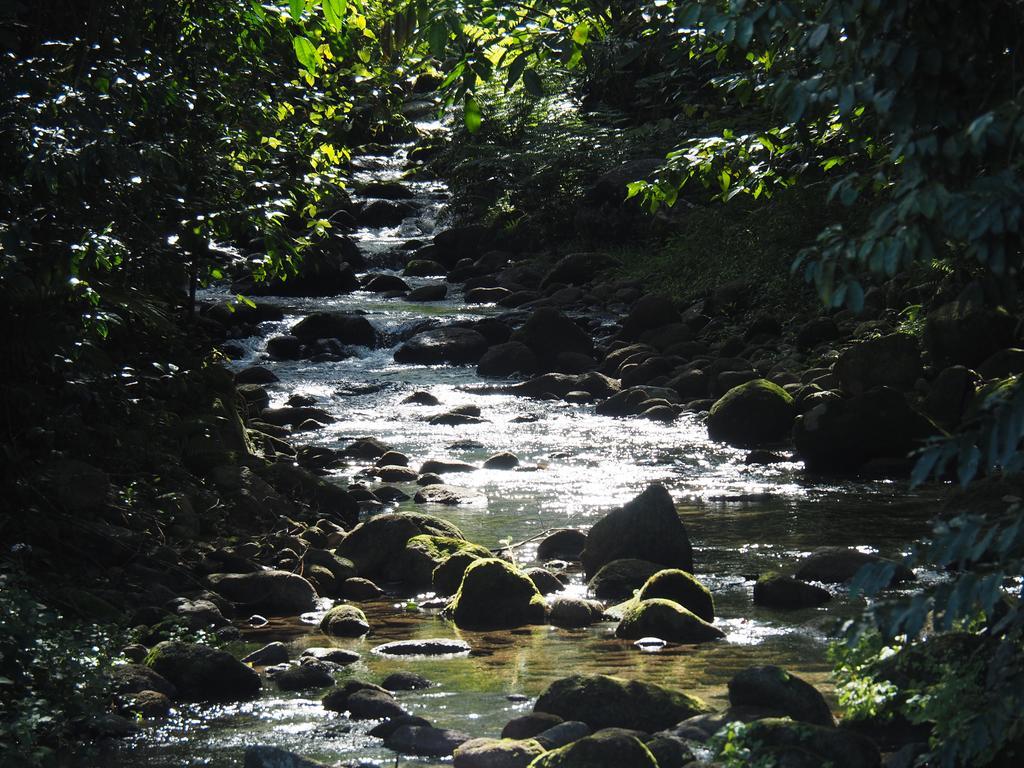 Babinda Quarters Hotel Екстериор снимка